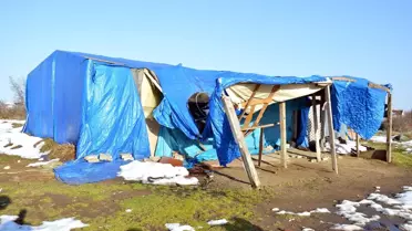 Kar en çok onları etkiledi