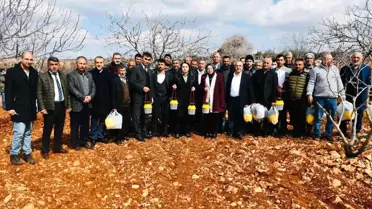 Besni'de ki Antepfıstığı üreticilerine tuzak dağıtıldı