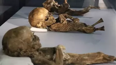 Anadolu'da bin yıllık mumyalar ilgi çekti!