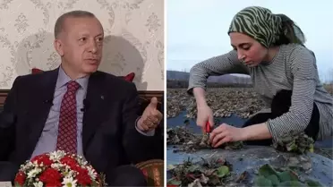 Cumhurbaşkanı Erdoğan'ın ortaklık teklif ettiği çiftçi Sevilay'ın ideali veteriner hekim olmak