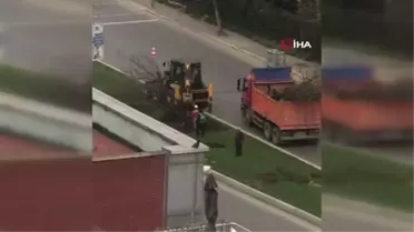 İBB ekipleri tarafından iş makineleriyle ağaçlar güpegündüz söküldü