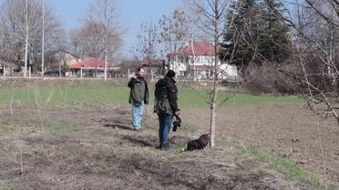 Türk fındık türlerinin çiçek açma, tozlaşma ve döllenme takvimi hazırlanacak