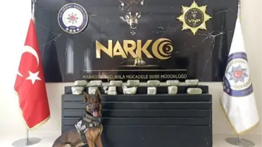 Van'da araçtaki 15 kilo eroini 'Thor' buldu