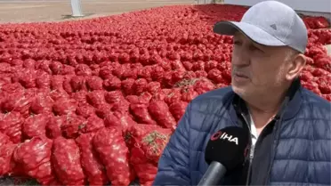 Çiftçiler, hal esnafından muzdarip: Tek çözüm devam eden hal yasasının devreye girmesi