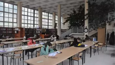 YENİLENECEK KÜTÜPHANEDE LİMON AĞACI KORUNACAK