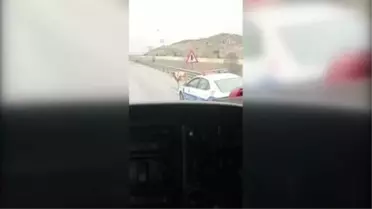 Başıboş dananın kara yolunda ilerlemesi cep telefonuyla görüntülendi