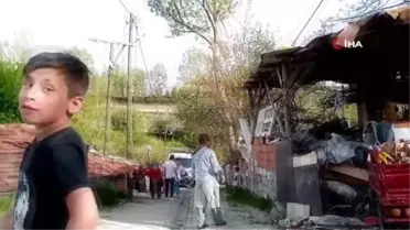 Son dakika... Köpeklerin saldırdığı 5 yaşındaki çocuk hastanelik oldu, komşular birbirine düştü