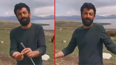 3 üniversite bitirmesine rağmen, çobanlık yapıyor: Hakkımızı kim yiyorsa helal etmiyorum