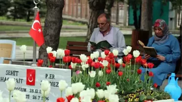 Son dakika haber... KAYSERİ'DE AİLELERDEN ŞEHİTLİK ZİYARETİ
