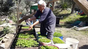 Köyceğiz'in 'Çandır Mahallesi' eko turizmle ön plana çıkıyor