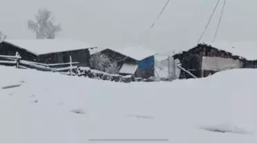 Artvin'e mayısta kar yağdı