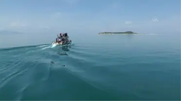 Van Gölü'nün dört adası etkinliklerle tanıtılıyor