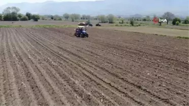 Coğrafi işaretli Bolu patatesi toprakla buluştu