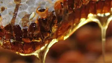 Cinsel gücü artırıp, kan şekerini hazırola getiriyor! Dilden dile dolaşan müthiş ikili bal ve tarçın