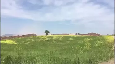 Türkiye'nin En Kaliteli Buğdayları İş Makinaları Altında Eziliyor: 'Öpüp Başımıza Koyduğumuz Ekmeğin Buğdayı Düne Kadar Bu Tarlalarda Yetişiyordu'