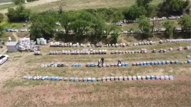 Bilecikli arıcı kaliteli bal üretmek için 22 yıldır kovanlarını taşıyor