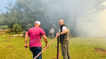 Hatay'daki orman yangınına 1 tutuklama
