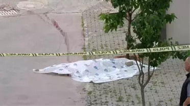 Günübirlik kiralık dairede tüyler ürperten ölüm! 17 yaşındaki genç kız, camdan düştü
