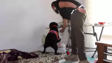 Uyuşturucu satıcılarına şafak operasyonu: 18 gözaltı