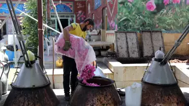 İran'ın 'gül ve gül suyu başkenti' Kemser'de geleneksel yöntemle üretim sürüyor