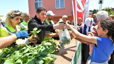 Ordu'da üreticilere 200 bin adet fide desteği