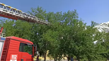 Iğdır'da bir saksağan yavrusu itfaiye yardımıyla düştüğü yuvasına kavuştu