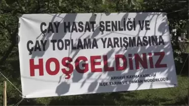 Çay Hasat Şenliği ve Okullar Arası Çay Toplama Yarışması düzenlendi