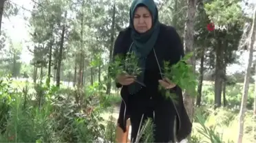 Öldürülen Azra'nın annesi kızının son sözlerini sordu, katili güldü