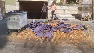 Palet devrildi, binlerce yumurta yola düşüp kırıldı
