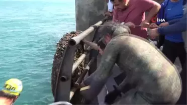 Üsküdar'da denizde ve karada çevre temizliği