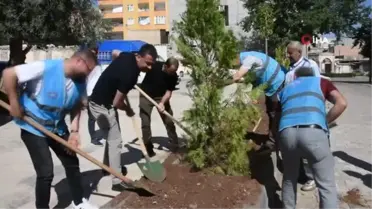 Hayvanseverler çevre gününde ağaç dikti