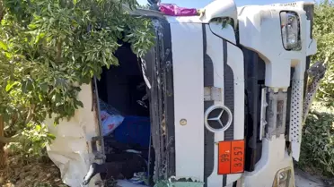 Yoldan çıkan tır meyve bahçesine devrildi, sürücü hayatını kaybetti