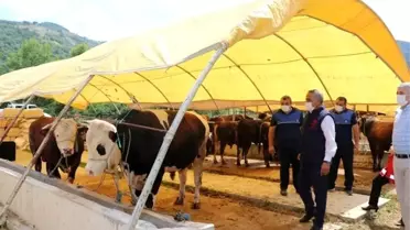 Kurbanlık hayvan alış, satış ve kesimlerinde dikkat edilecek hususlar