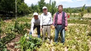 Simav'da sebze ve meyveler sağanak yağmur ve doludan zarar gördü