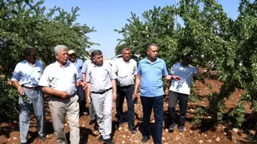Adıyaman Valisi Mahmut Çuhadar fidanlıkta incelemelerde bulundu