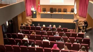 İstanbul Barosu: Kapasitesi olmayan belediyeler hayvanları ölüme terk etti