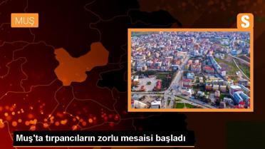 Muş'ta tırpancıların zorlu mesaisi başladı
