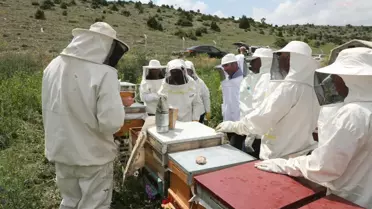 Odunpazarı Belediyesi'nden Arıköy'de Uygulamalı Arıcılık Eğitimi