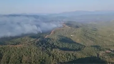 Marmaris'teki orman yangınında 3'üncü gün; alevler 5 noktada ilerliyor