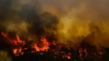 Marmaris'teki yangın henüz kontrol altına alınamadı! Tedbir amaçlı bazı evler tahliye edildi