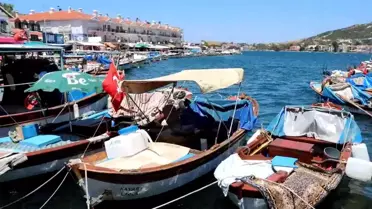 Foça'da Bir Günde 5 Bin Ücretsiz Kitap Dağıtıldı