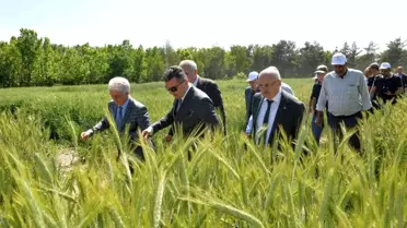 Erzurum'da 3 bin 800 svat törenle çiftçilere dağıtıldı