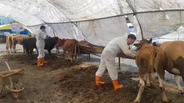 Kdz. Ereğli Belediyesi'nden Kurban Pazarında Denetim