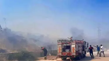 Son dakika haberi | Bodrum'da makilik alanda yangın