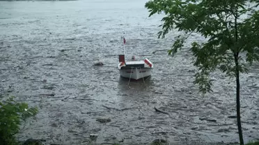 Ordu'da şiddetli yağış hasara yol açtı