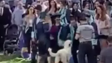 Son dakika haberleri: Başıboş köpeğin Ege Üniversitesi mezuniyet töreninde insanlara saldırdığı anlar kamerada