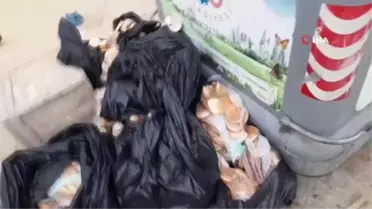 İsrafın böylesi: 15 poşet ekmeği çöpe bıraktılar