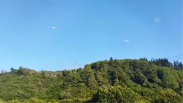 Söke'de orman yangını (3)