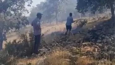 Son dakika! NUSAYBİN'DE ORMANLIK ALANDAKİ YANGIN 6 SAATTE SÖNDÜRÜLDÜ