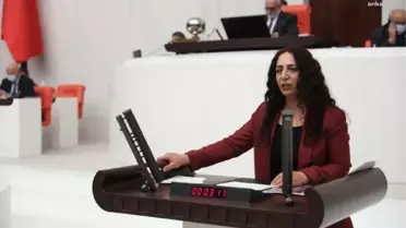 Hdp, Yaz Aylarındaki Boğulma Vakalarını TBMM Gündemine Taşıdı